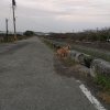 路