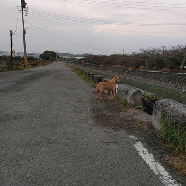 路