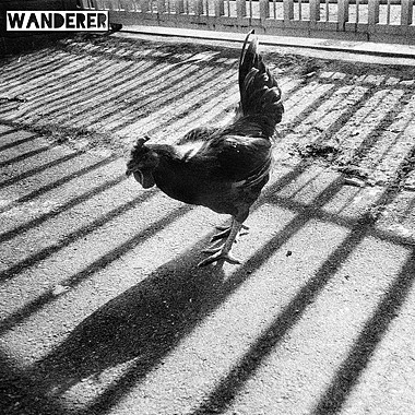 烂漫游子 Wanderer［True ! ］