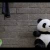 当我又想起你（不插电）