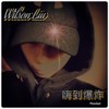 Wilson Liu-嗨到爆炸 Madness