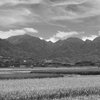给亲爱的vuvu