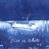 Blue in white 