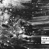 消化爱人 