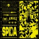 艾蜜莉AMILI－Spida
