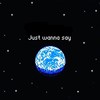 JUST WANNA SAY