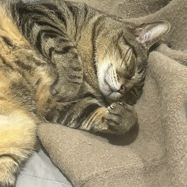 或许你也不懂自己