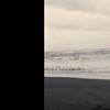 四季 Seasons - 殷阳 Yin Yang feat. 郑小韵