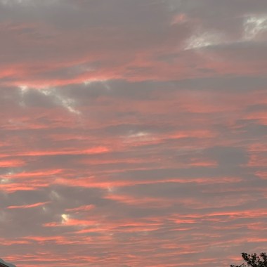 宝贝对不起我还想你但我不能爱你