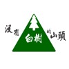 没有白树的山头