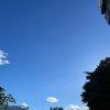想要紧握 demo
