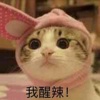我醒来了