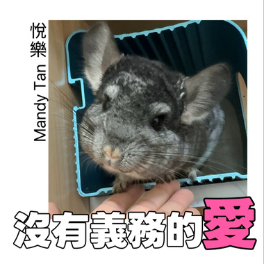 没有义务的爱“No Take for Granted ”Demo-悦乐Mandy Tan