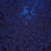 星河GALAXXXY ft.lil stummy,MONSEN