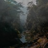 托梦 demo