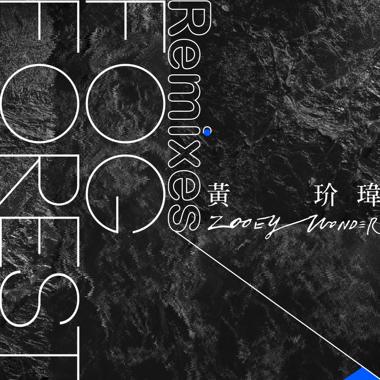 Fog Forest (Scott Damn Remix)