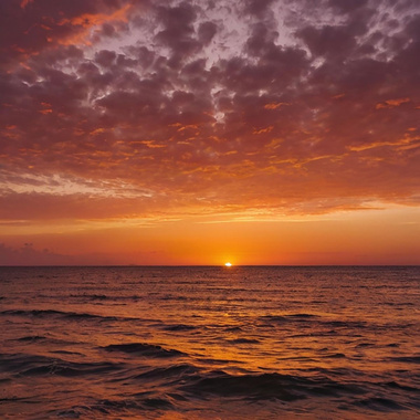 忘掉你 ft.Yūki,Wei.Z