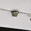 猿猿的沟通