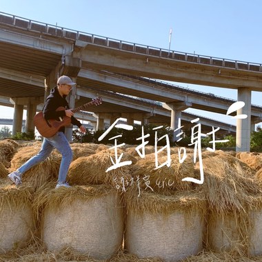 金拍谢 Demo
