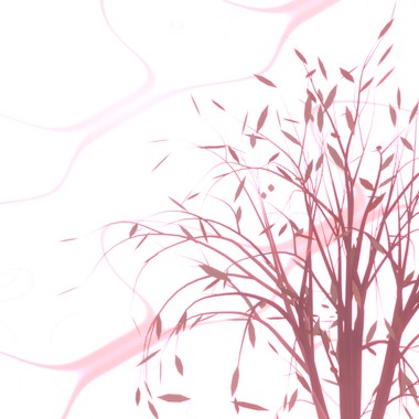 花朵猫-沉眠花海中的瑕疵品