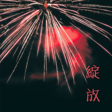 绽放