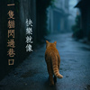 快乐就像一只猫闪过巷口