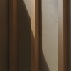 林声