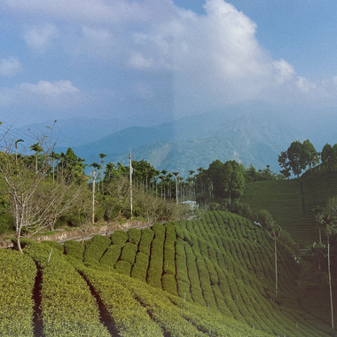 Hills