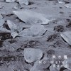 无水团/午夜在斯堪地那维亚的舞会