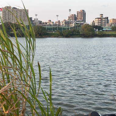 河岸河堤 acoustic demo1