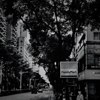 Q.14th 隔离十四天 new demo