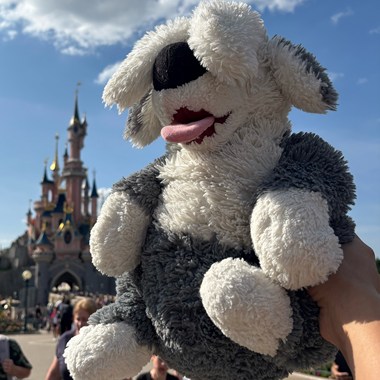 偶超级宇宙无敌霹雳爱尼