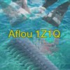1Z1Q04 天冷了 我却有颗想去海边的心