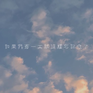 如果我有一天就这样忘记你了