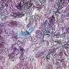 violet dream