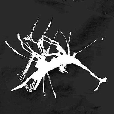舜仔（The Thin Light Of The Darkest Dark）