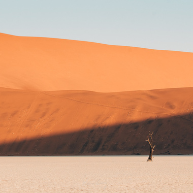 罗布泊 - 2026 demo