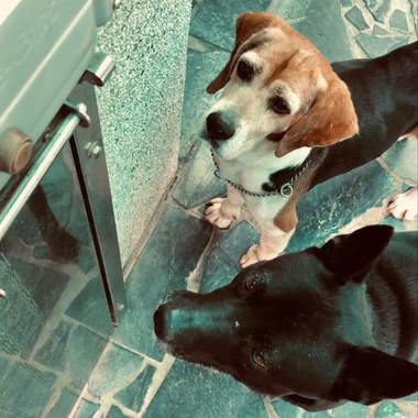 你只是流浪（one take demo)