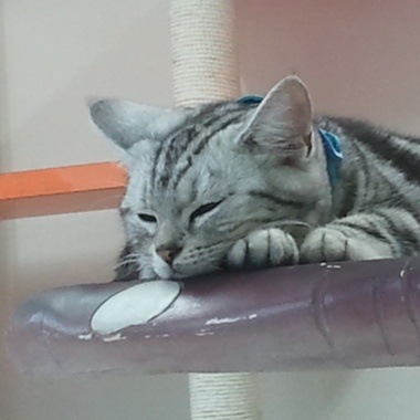 慢慢哭
