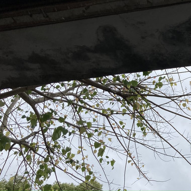 我们是否还在同一个季节