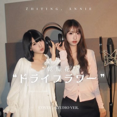 COVER-ドライフラワー（干燥花💐）