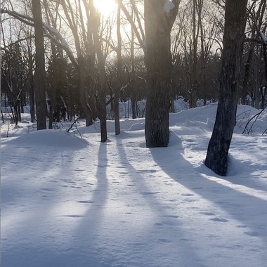 20240210 Walk in Myoko
