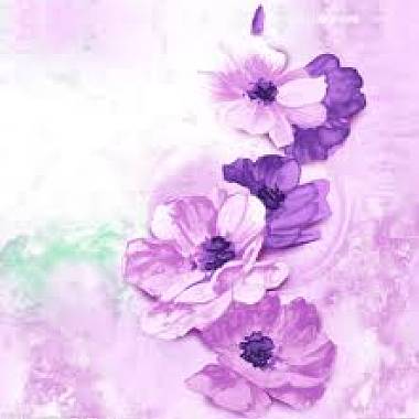 紫苑【歌ってみた】