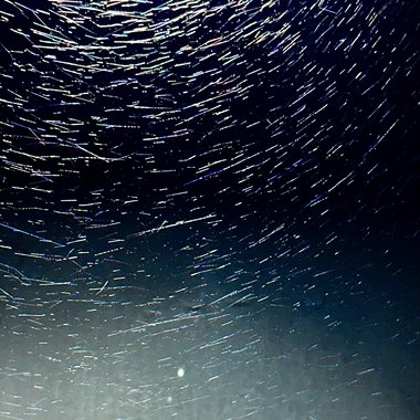 为什么要骑车溜狗