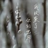 我放弃了你的世界
