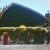 7.上教堂 Go to Church