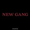 NEW GANG