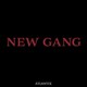NEW GANG