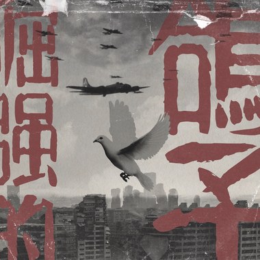 倔强的鸽子