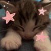 Kitty (demo)